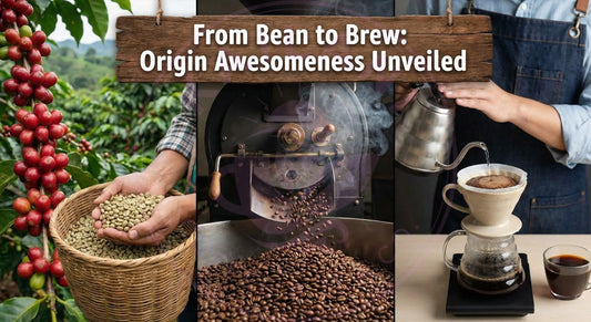 From Bean to Brew: Origin Awesomeness Unveiled Kailani Coffee & Tea Co.