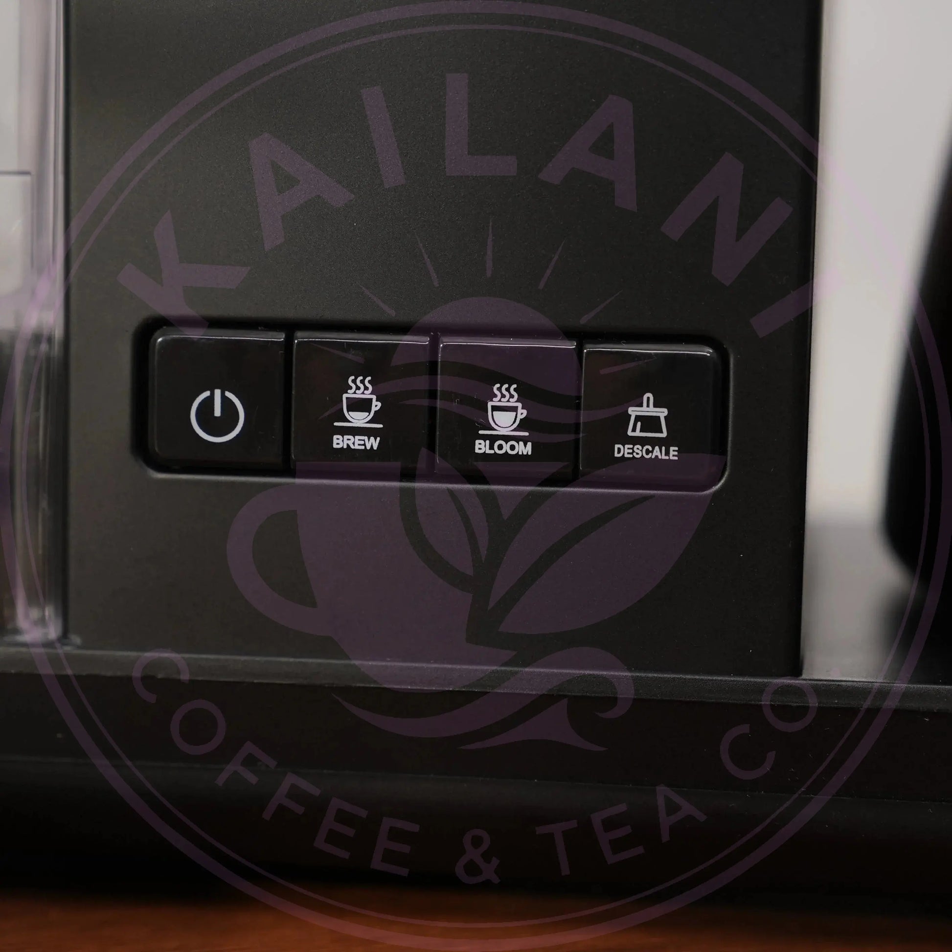 Enthusiast 8-Cup Drip Coffee Brewer with 1.3L Thermal or Glass Carafe Bonavita