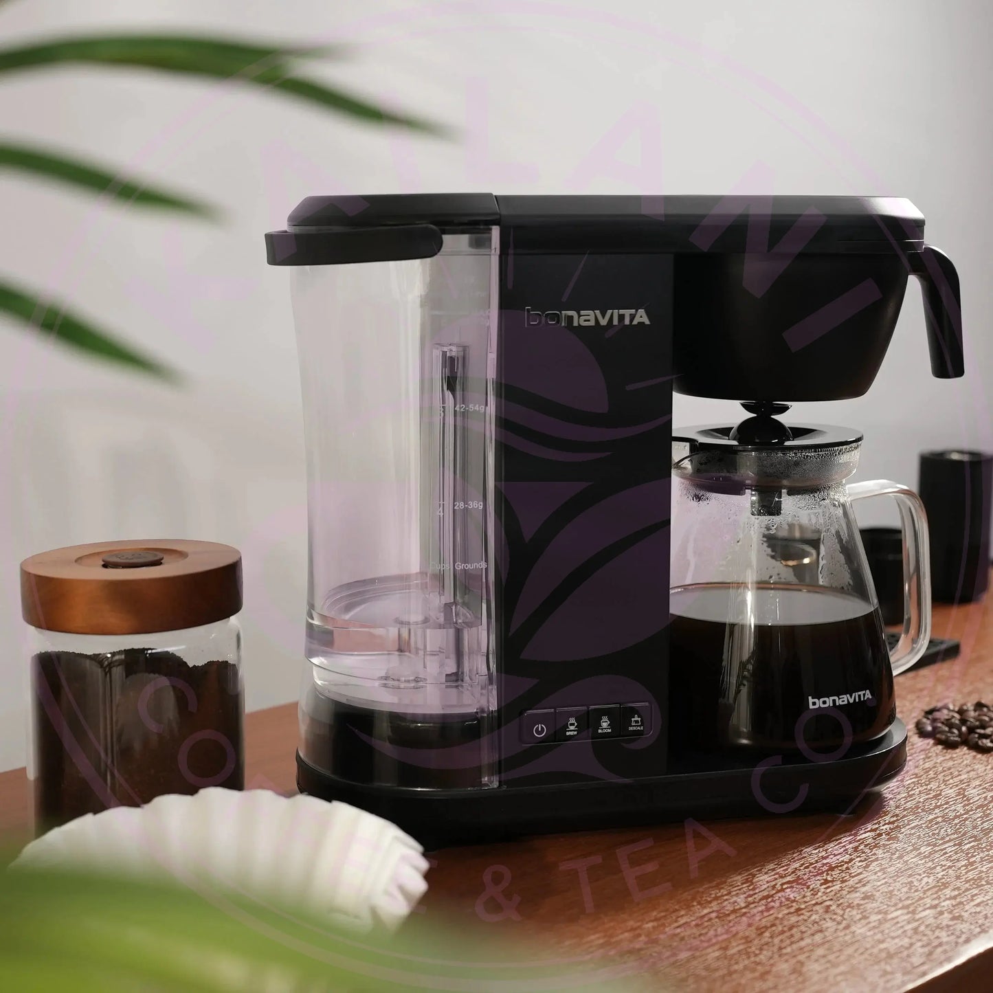 Enthusiast 8-Cup Drip Coffee Brewer with 1.3L Thermal or Glass Carafe Bonavita