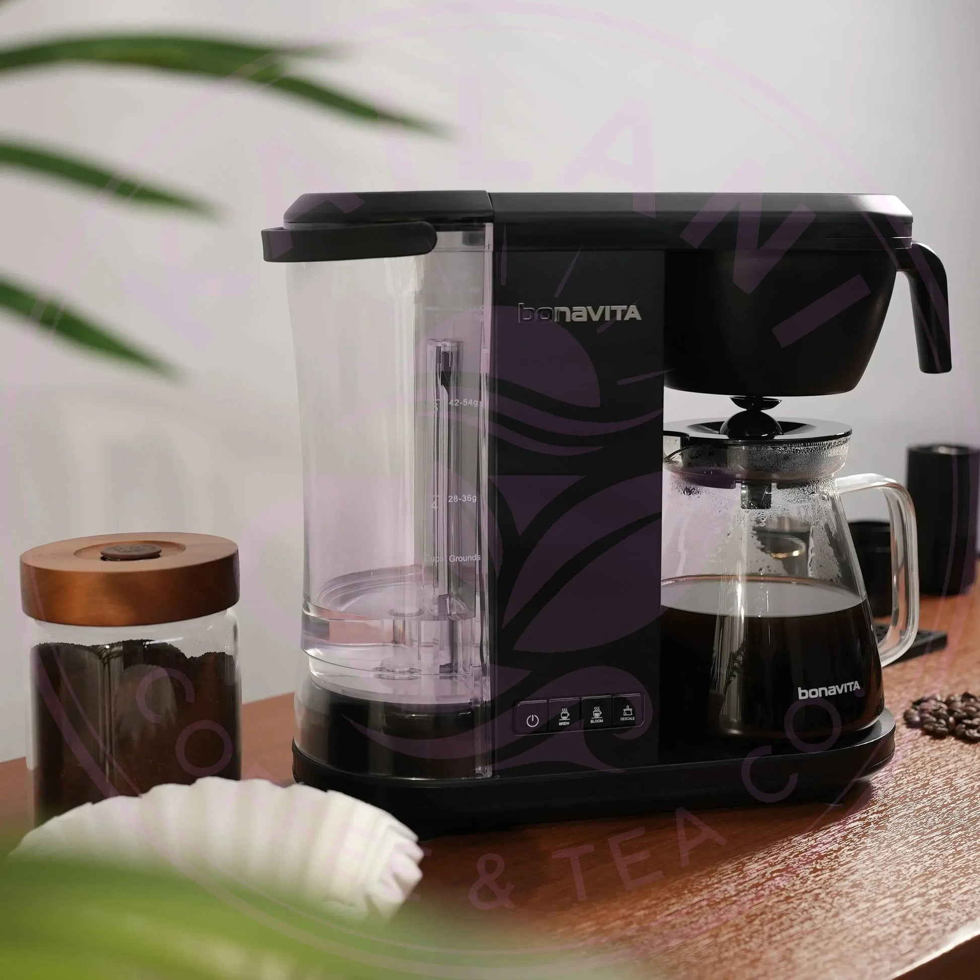 Enthusiast 8-Cup Drip Coffee Brewer with 1.3L Thermal or Glass Carafe Bonavita