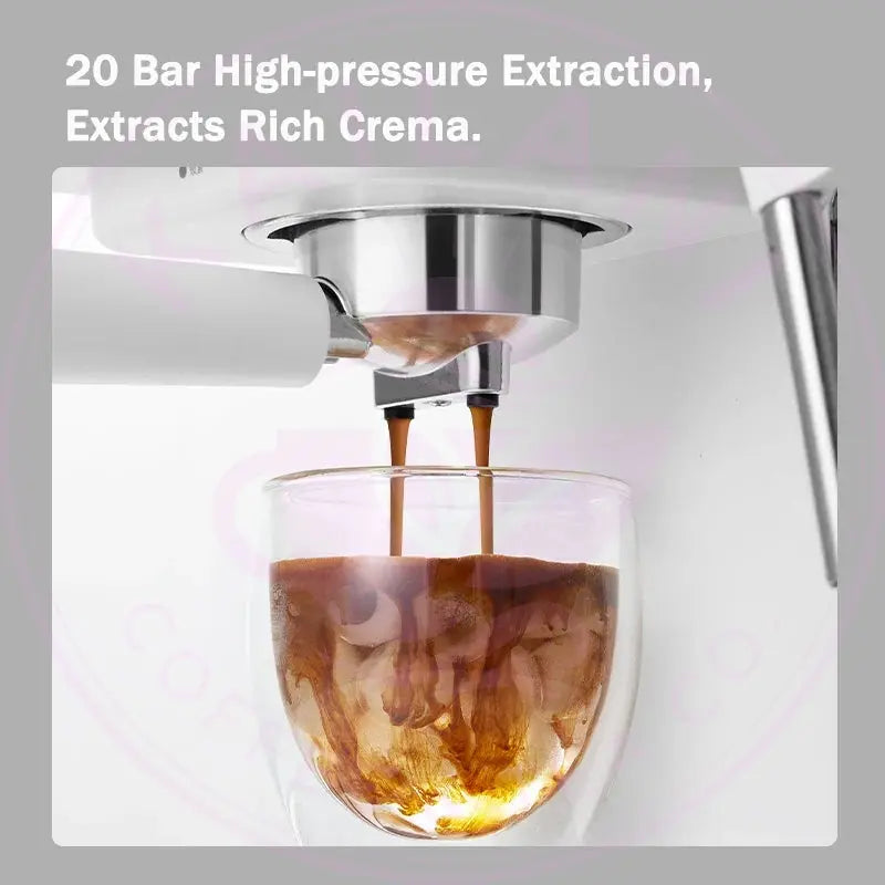 Petrus PE2170 Espresso Machine - 20 Bar & Steam Wand