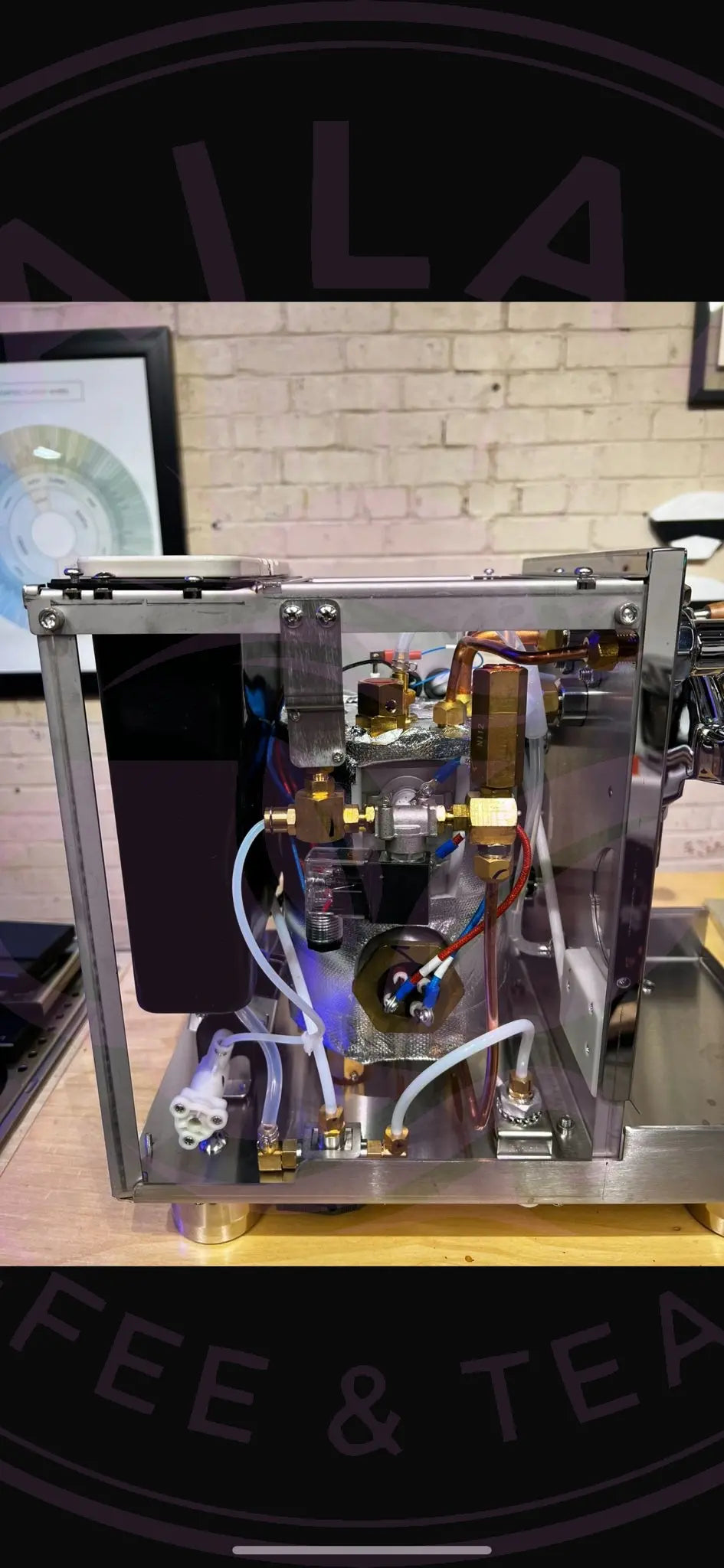 Turin Gallatin V - HX Espresso Machine with PID
